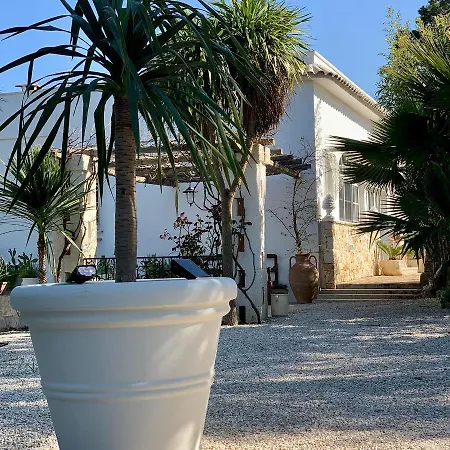 Il Saraceno